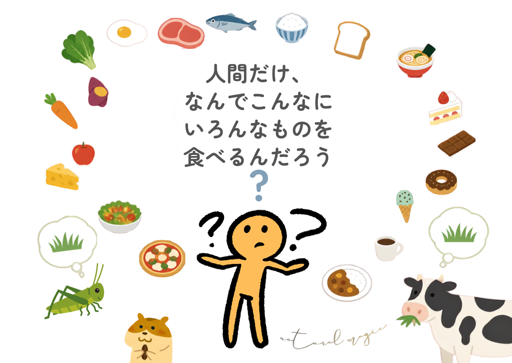人間だけ、なんでこんなにいろんなものを食べるんだろう。