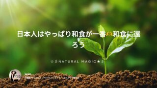 日本人はやっぱり和食が一番🫶和食に還ろう