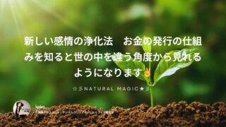 新しい感情の浄化法 お金の発行の仕組みを知ると世の中を違う角度から見れるようになります✌