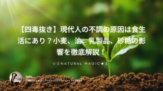 【四毒抜き】現代人の不調の原因は食生活にあり?小麦、油、乳製品、砂糖の影響を徹底解説!