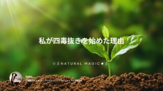 叔母の最後の言葉から始まった｜私が四毒抜きを始めた理由