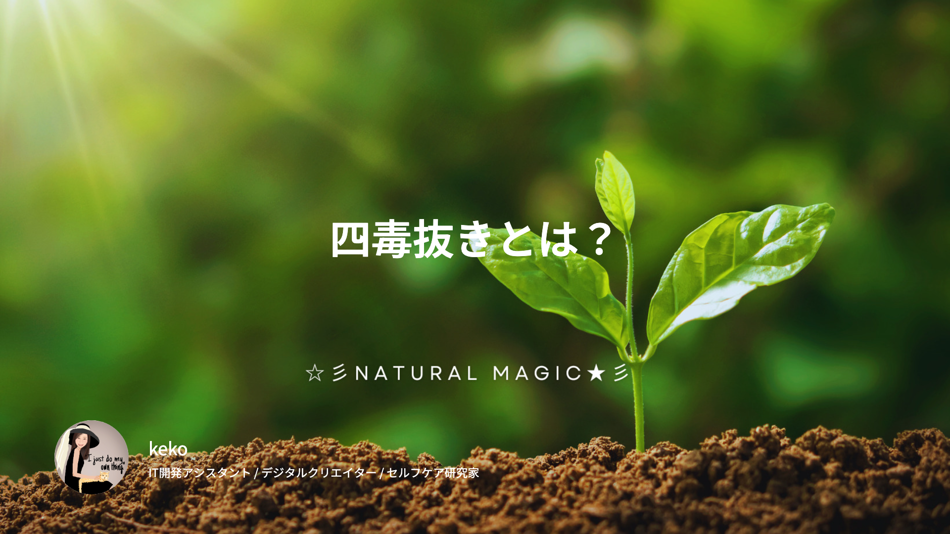 四毒抜きとは？