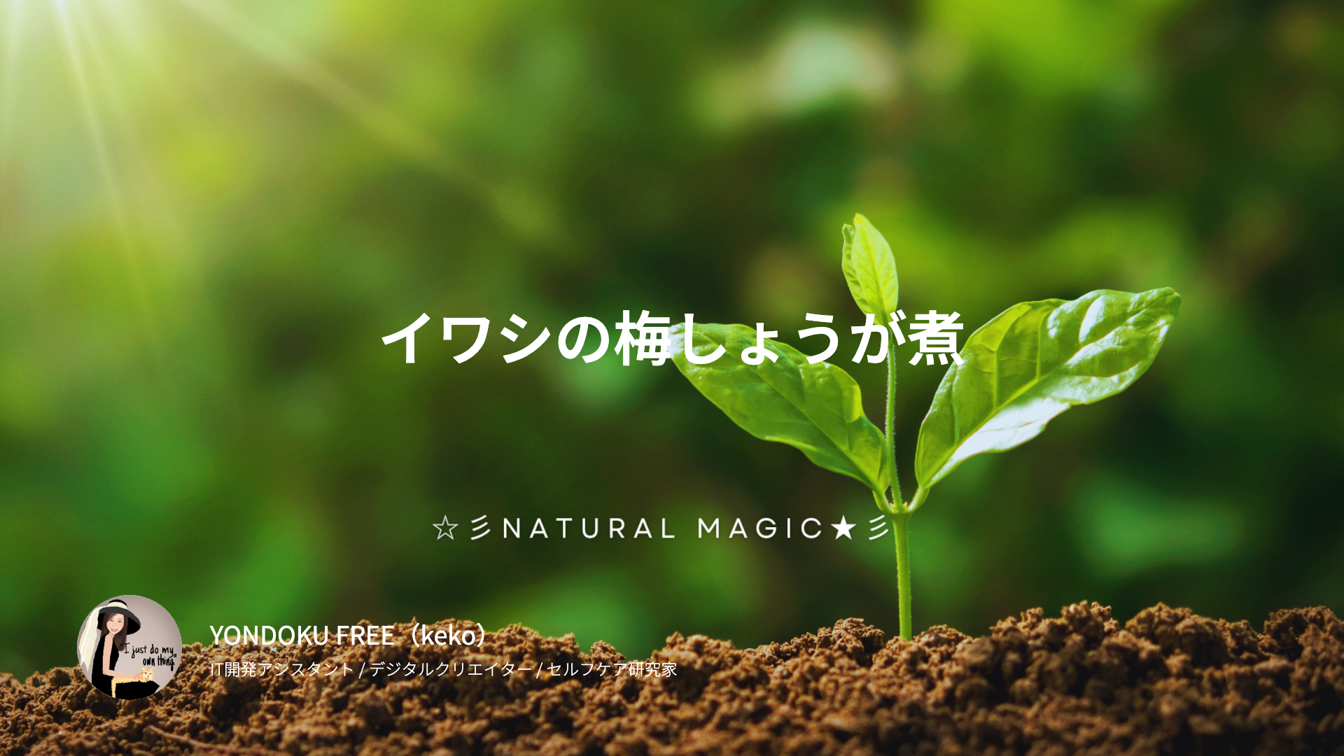 四毒抜き・イワシの梅しょうが煮|巡りを静かに整える、からだ想いの一皿