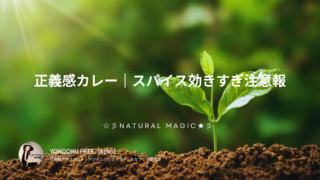 正義感カレー〜スパイス効きすぎ注意報〜