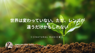 世界は変わっていない。ただ、レンズが違うだけかもしれない