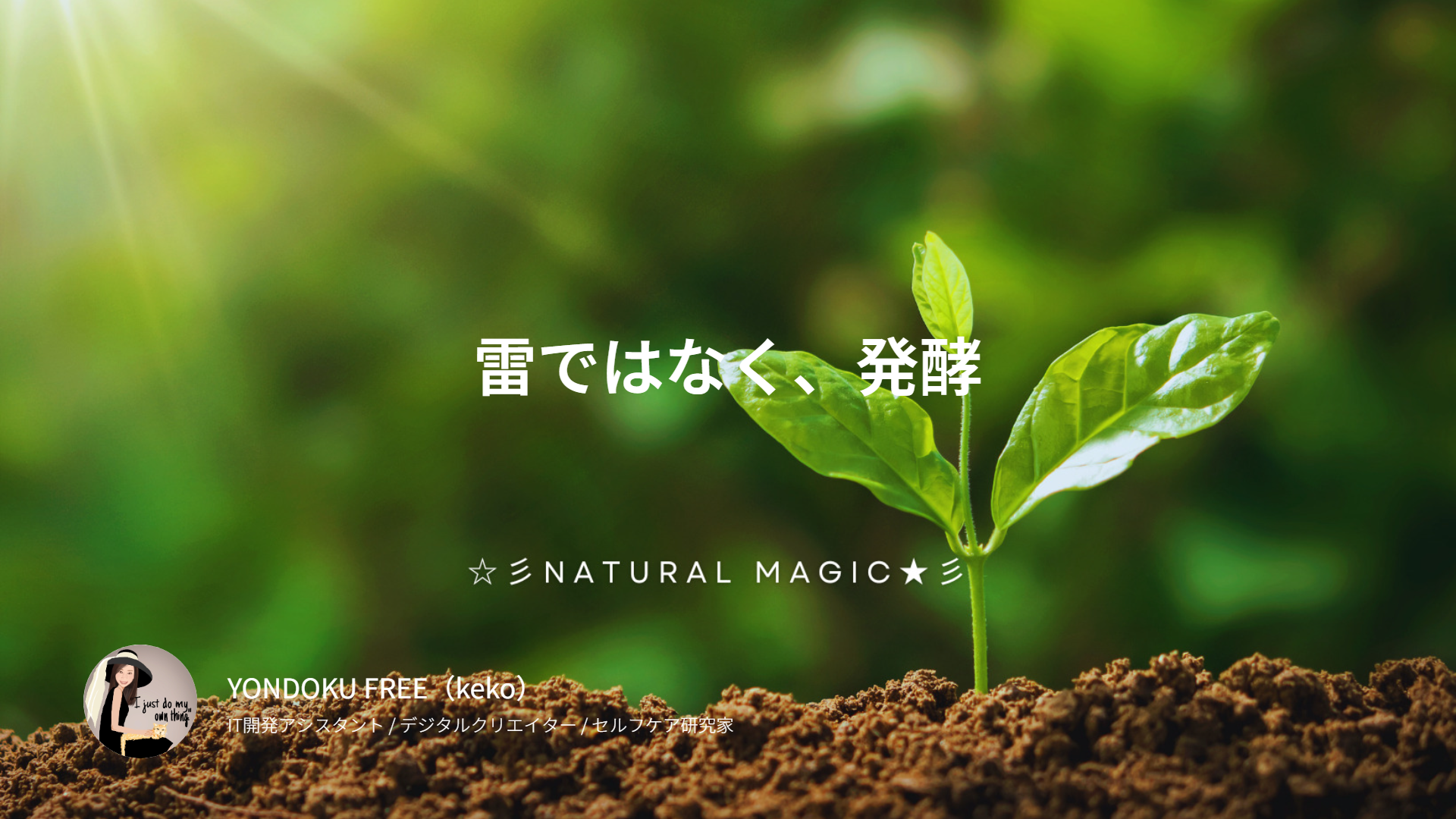 芽は突然出ない ― 政治は文化の果実である