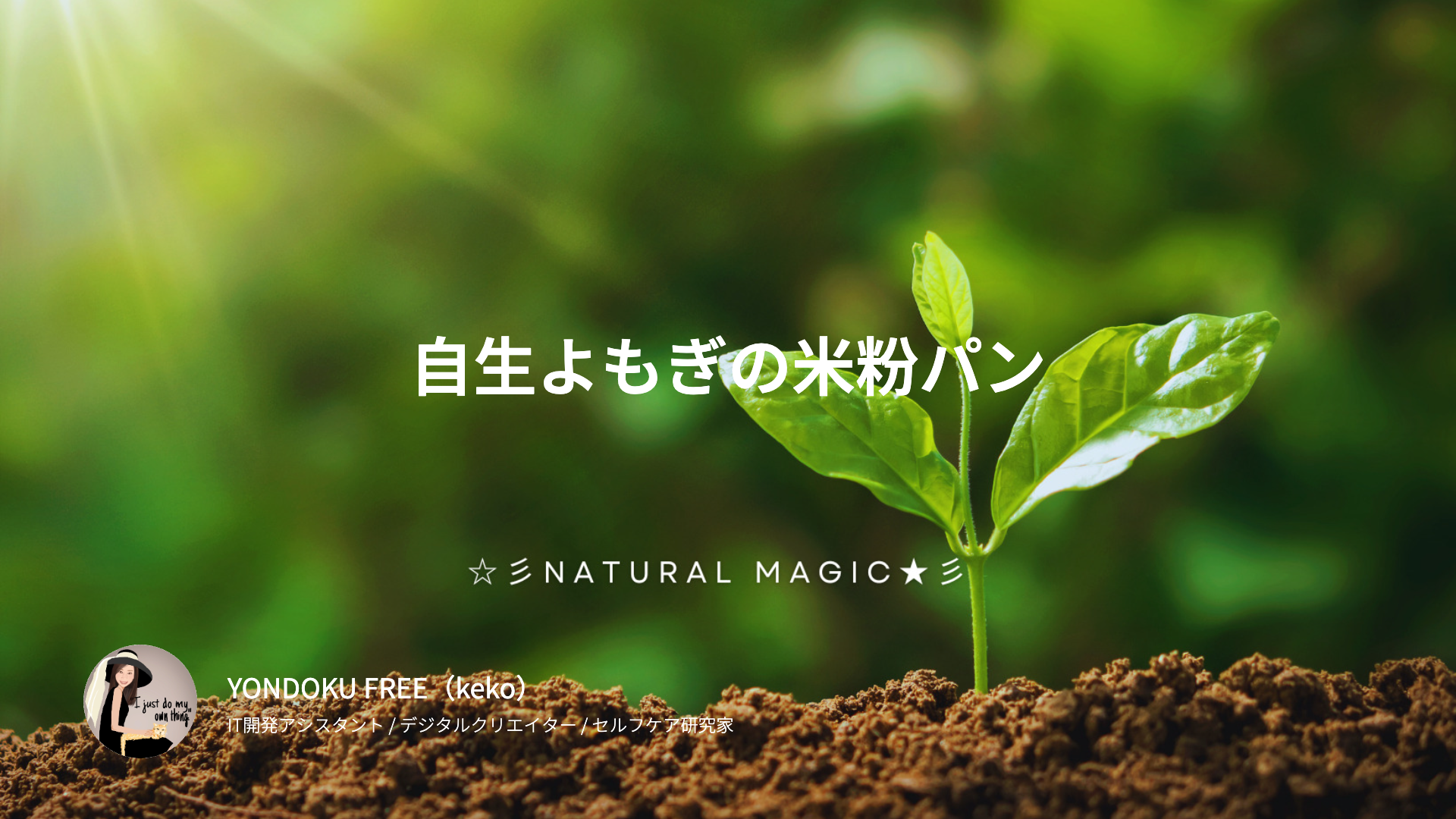 自生よもぎの米粉パン｜四毒抜き・グルテンフリーで作る天然酵母パン
