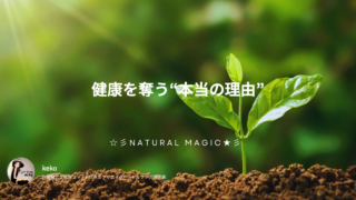 憲法98条2項を知った日｜給食のパンと牛乳の背景にあったもの