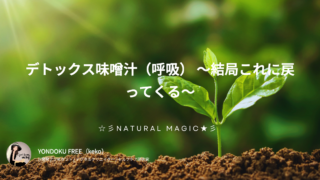 デトックス味噌汁（呼吸） 〜結局これに戻ってくる〜